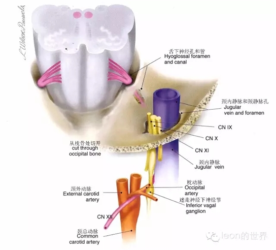 640.webp (1).jpg 640.webp (1).jpg
