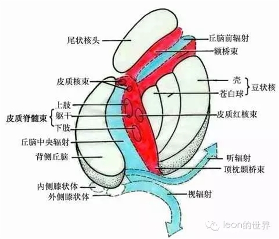 640.webp (3).jpg 640.webp (3).jpg