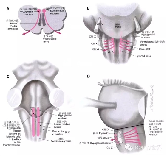 640.webp (6).jpg 640.webp (6).jpg