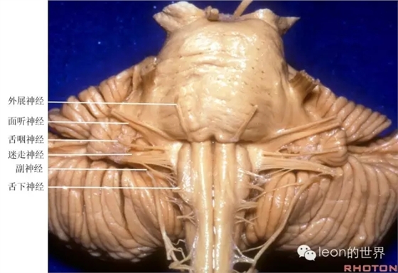 640.webp (7).jpg 640.webp (7).jpg