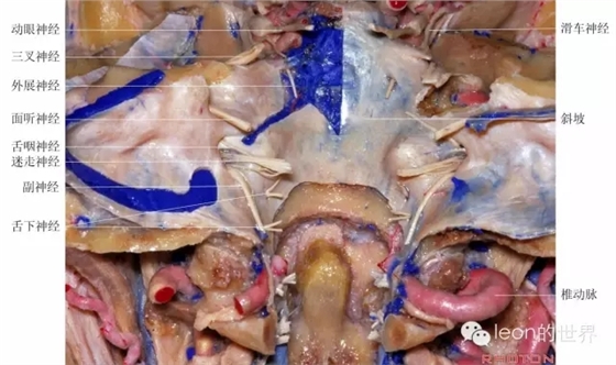 640.webp (9).jpg 640.webp (9).jpg