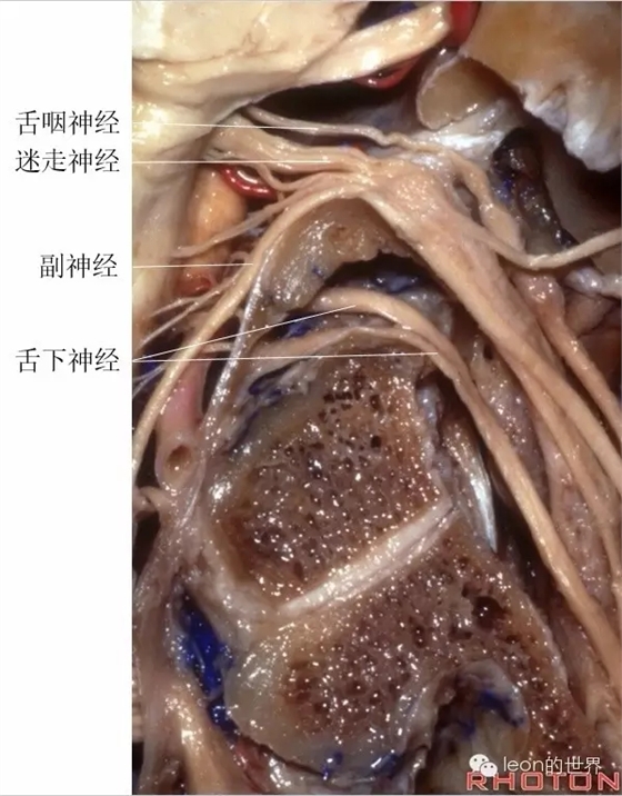 640.webp (10).jpg 640.webp (10).jpg