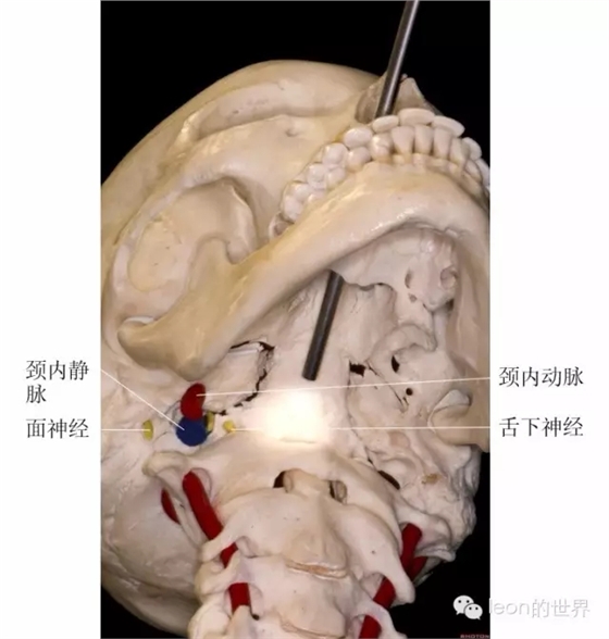 640.webp (15).jpg 640.webp (15).jpg