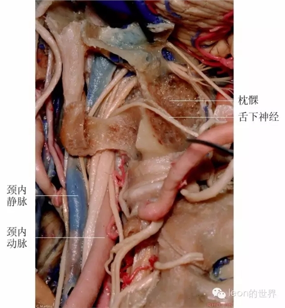 640.webp (18).jpg 640.webp (18).jpg