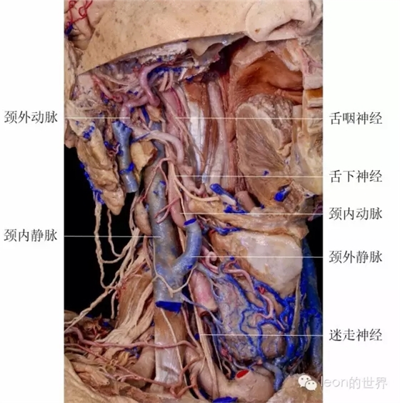 640.webp (19).jpg 640.webp (19).jpg