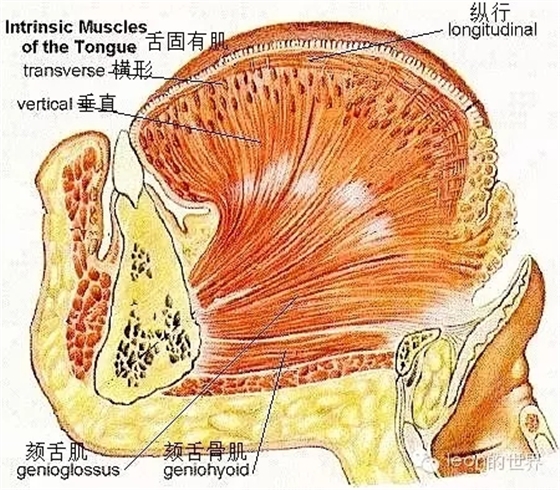 640.webp (21).jpg 640.webp (21).jpg