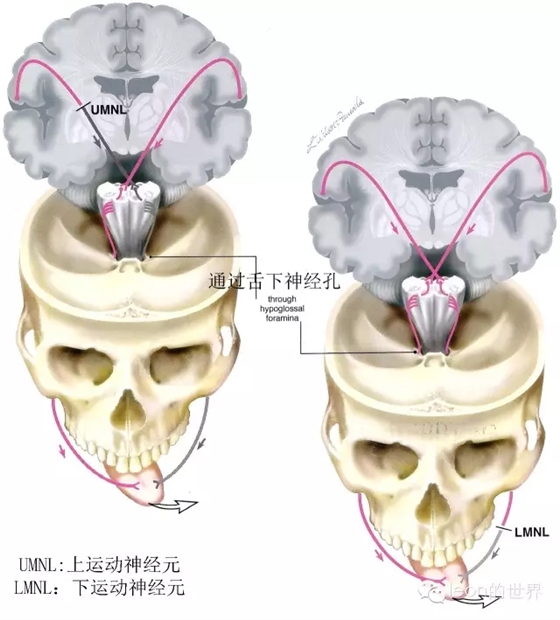 640.webp (25).jpg 640.webp (25).jpg