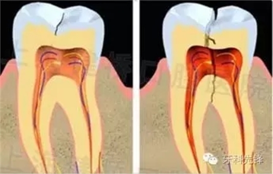 640.webp (10).jpg 640.webp (10).jpg