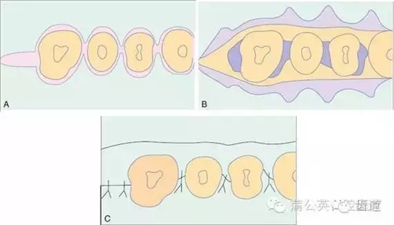 640.webp (20).jpg 640.webp (20).jpg