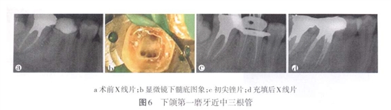 QQ截圖20160803114250.jpg QQ截圖20160803114250.jpg