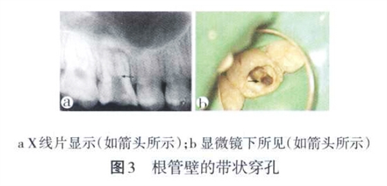 QQ截圖20160803132558.jpg QQ截圖20160803132558.jpg
