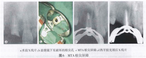 QQ截圖20160803135959.jpg QQ截圖20160803135959.jpg