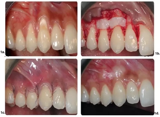 640.webp (19).jpg 640.webp (19).jpg