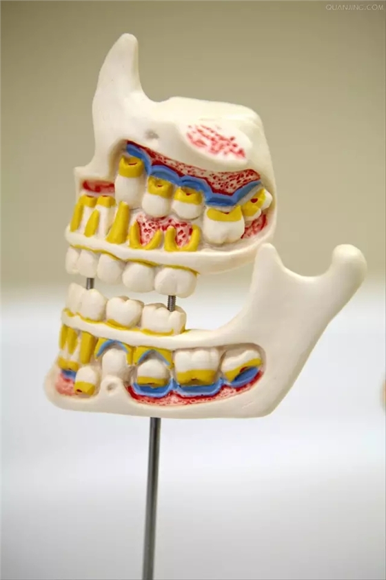 無牙頜種植修復(fù)的檢查與設(shè)計(jì)——施斌教授 無牙頜種植修復(fù)的檢查與設(shè)計(jì)——施斌教授