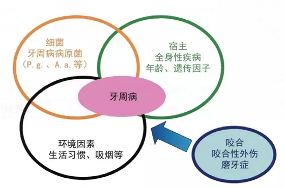 640.webp.jpg 640.webp.jpg