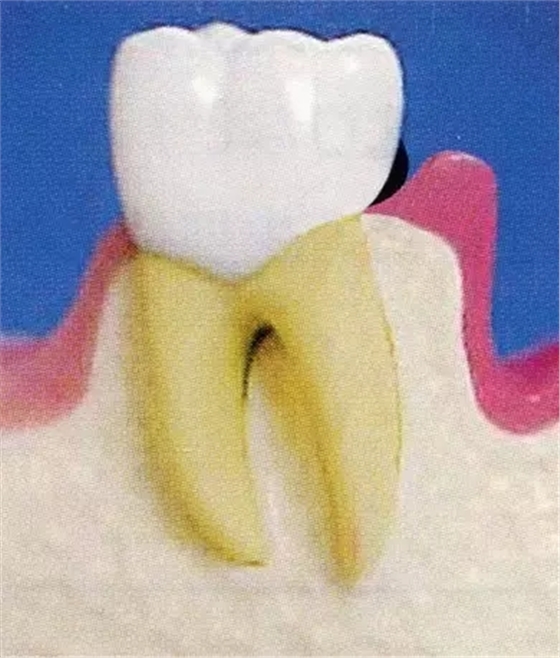 640.webp (1).jpg 640.webp (1).jpg