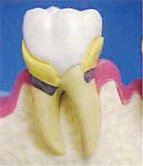 640.webp (2).jpg 640.webp (2).jpg