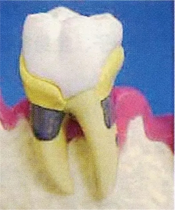 640.webp (3).jpg 640.webp (3).jpg