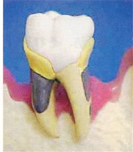 640.webp (4).jpg 640.webp (4).jpg