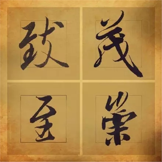 640.webp (8).jpg 640.webp (8).jpg