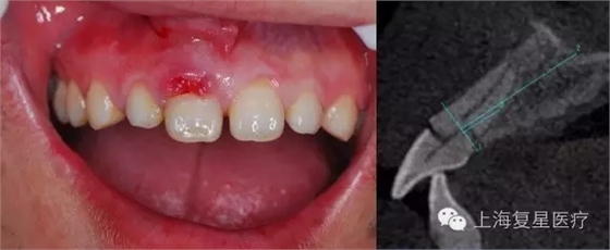 640.webp.jpg 640.webp.jpg