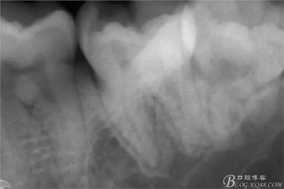 640.webp.jpg 640.webp.jpg