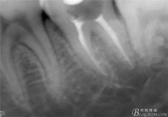 640.webp (2).jpg 640.webp (2).jpg