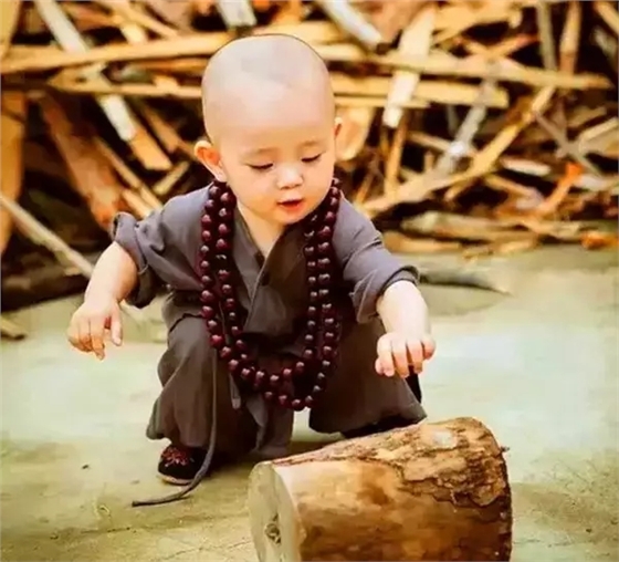 640.webp (15).jpg 640.webp (15).jpg