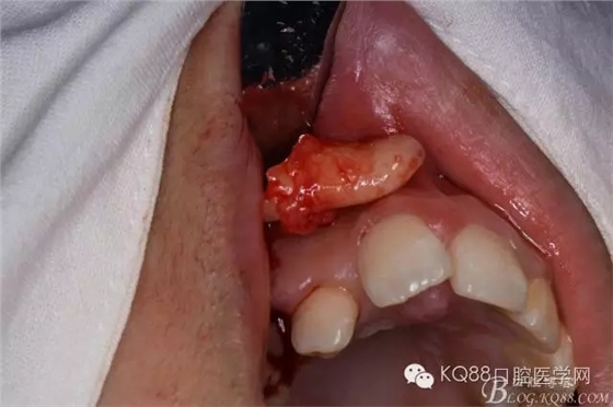 640.webp (13).jpg 640.webp (13).jpg