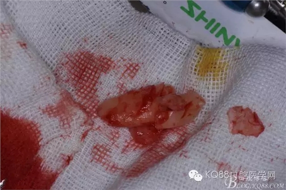 640.webp (15).jpg 640.webp (15).jpg