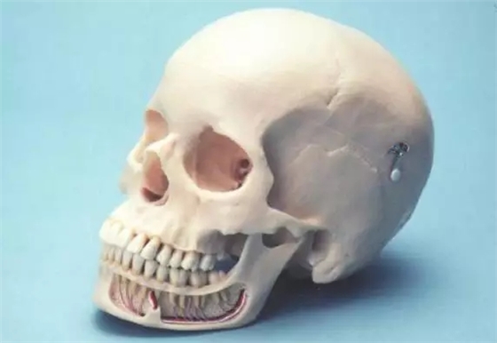 640.webp (8).jpg 640.webp (8).jpg