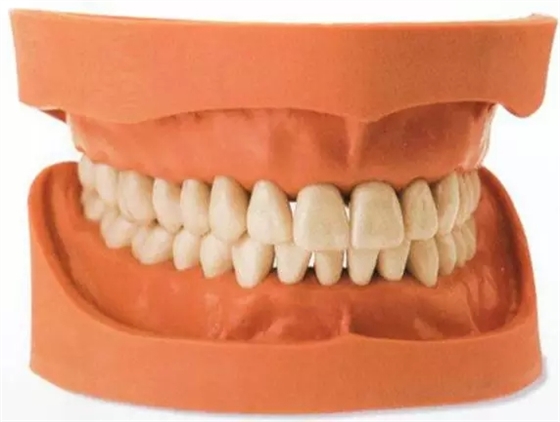 640.webp (9).jpg 640.webp (9).jpg