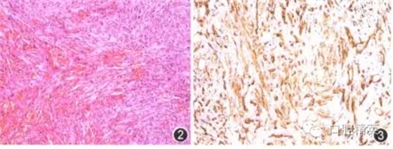 640.webp (7).jpg 640.webp (7).jpg