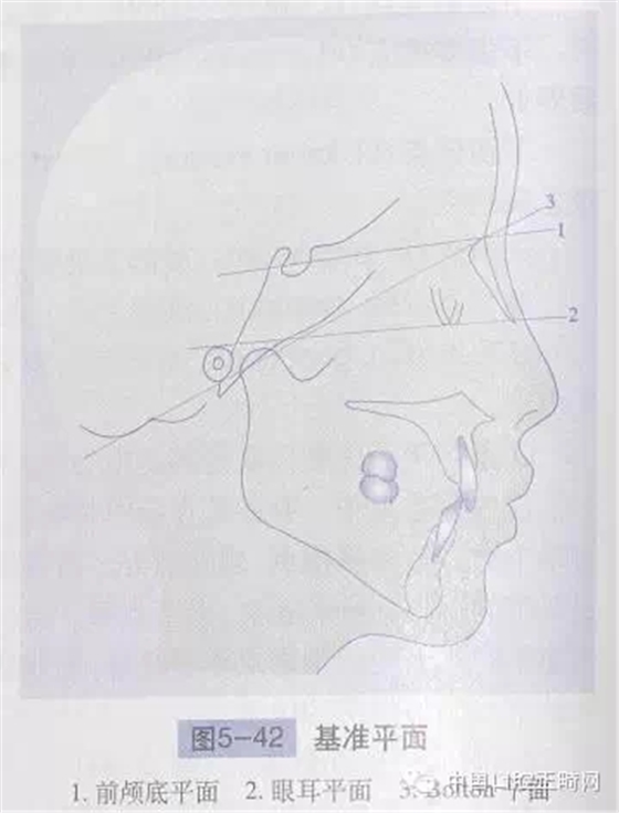 0.webp (1).jpg 0.webp (1).jpg