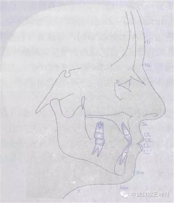 0.webp.jpg 0.webp.jpg