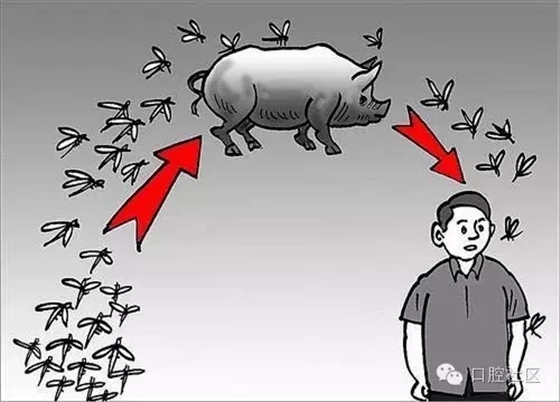 640.webp (4).jpg 640.webp (4).jpg