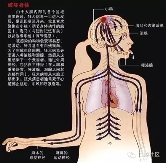 640.webp (5).jpg 640.webp (5).jpg