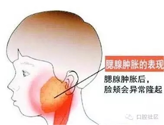 640.webp (6).jpg 640.webp (6).jpg