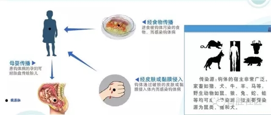 640.webp (16).jpg 640.webp (16).jpg