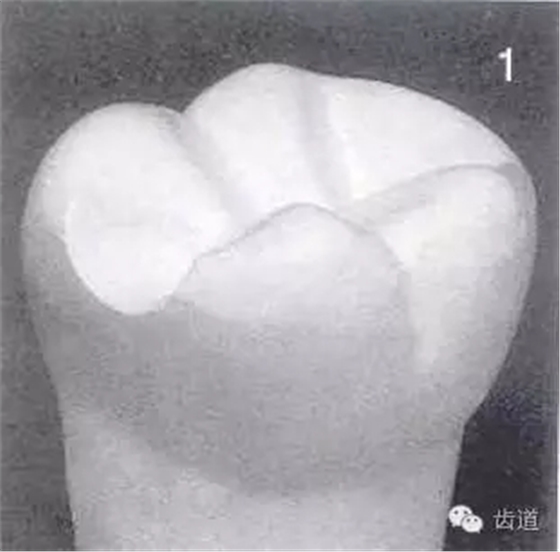 640.webp (7).jpg 640.webp (7).jpg