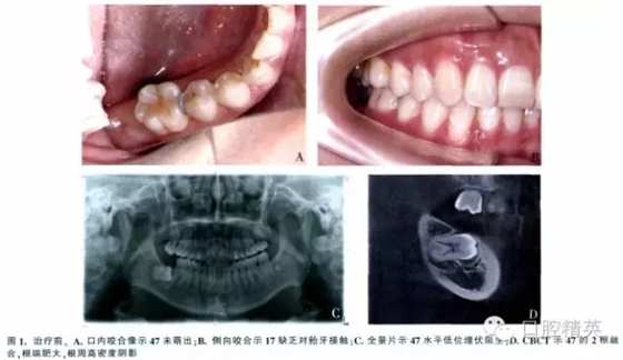 640.webp (13).jpg 640.webp (13).jpg