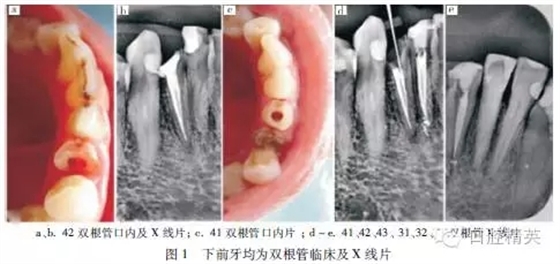 640.webp.jpg 640.webp.jpg