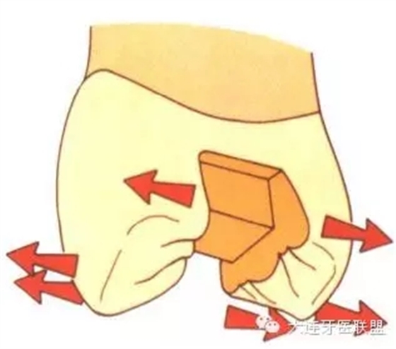 0.webp (5).jpg 0.webp (5).jpg