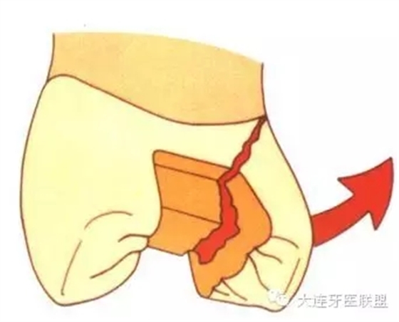 0.webp (6).jpg 0.webp (6).jpg