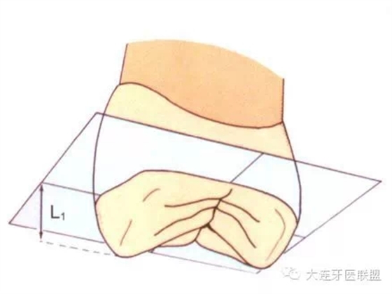 0.webp (7).jpg 0.webp (7).jpg