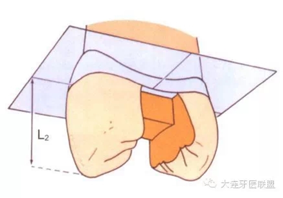 0.webp (8).jpg 0.webp (8).jpg