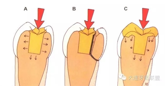 0.webp (9).jpg 0.webp (9).jpg