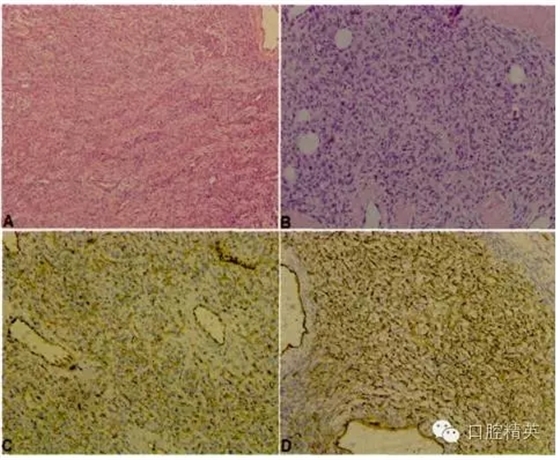 640.webp (1).jpg 640.webp (1).jpg