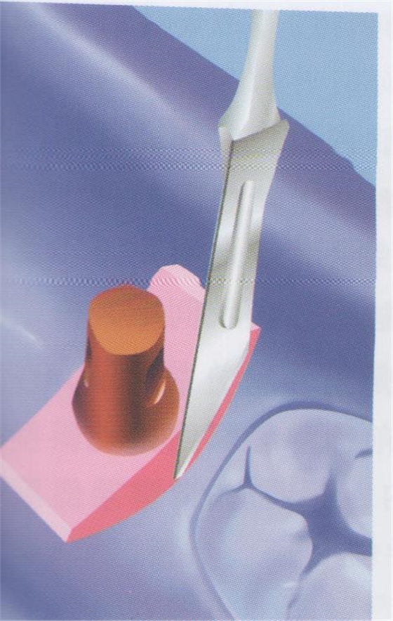 psb (1).jpg psb (1).jpg