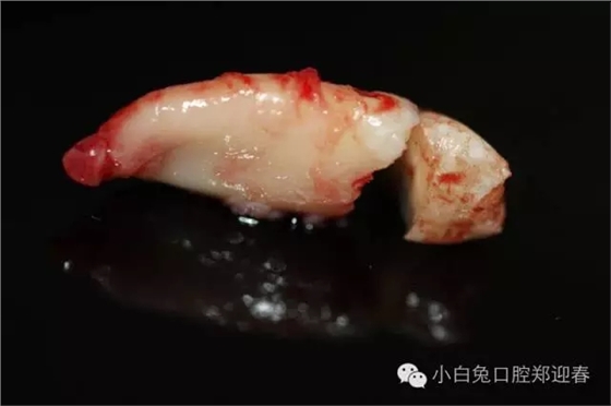 640.webp (10).jpg 640.webp (10).jpg